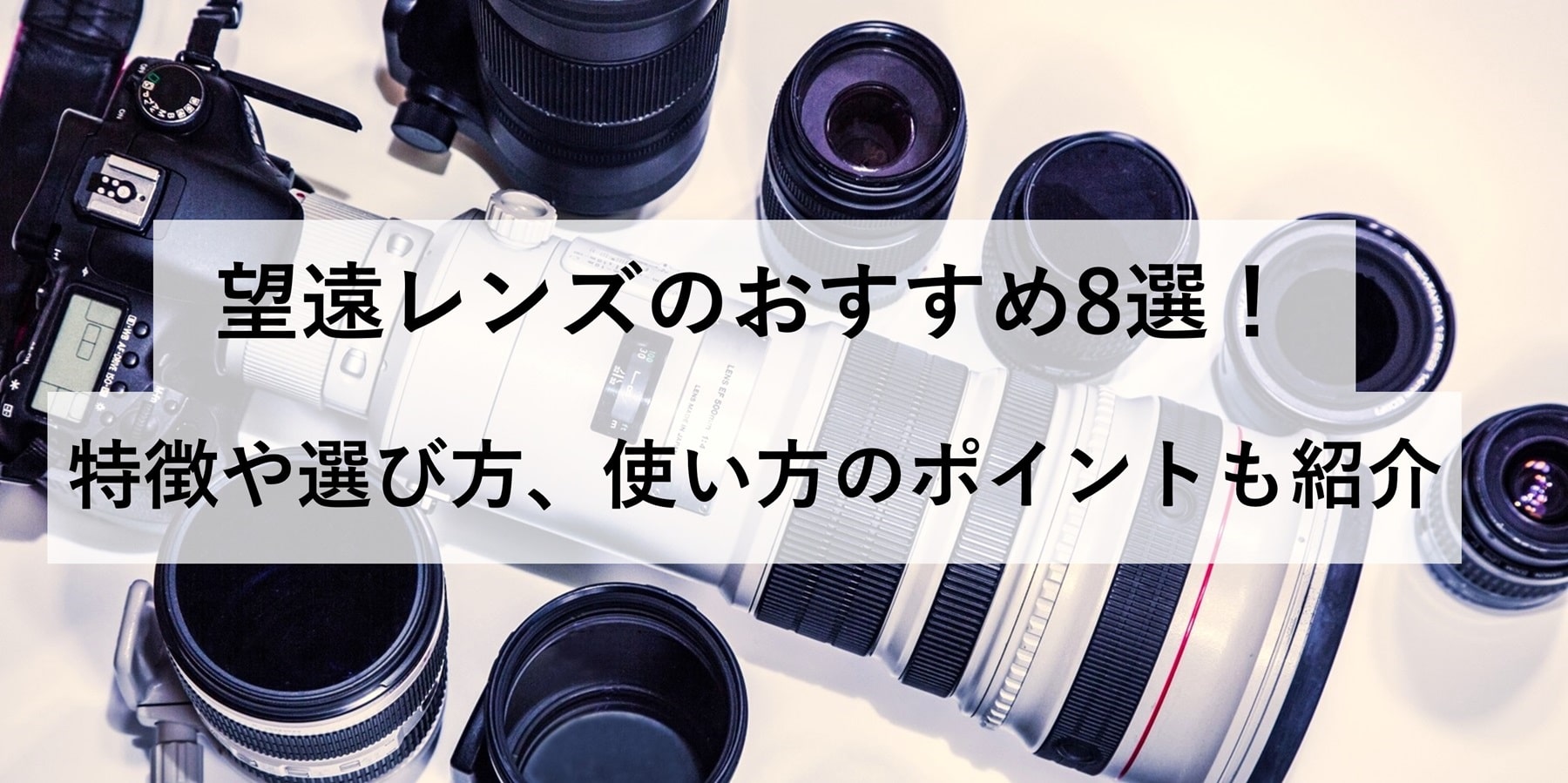 望遠レンズのおすすめ8選！特徴や選び方、使い方のポイントも紹介