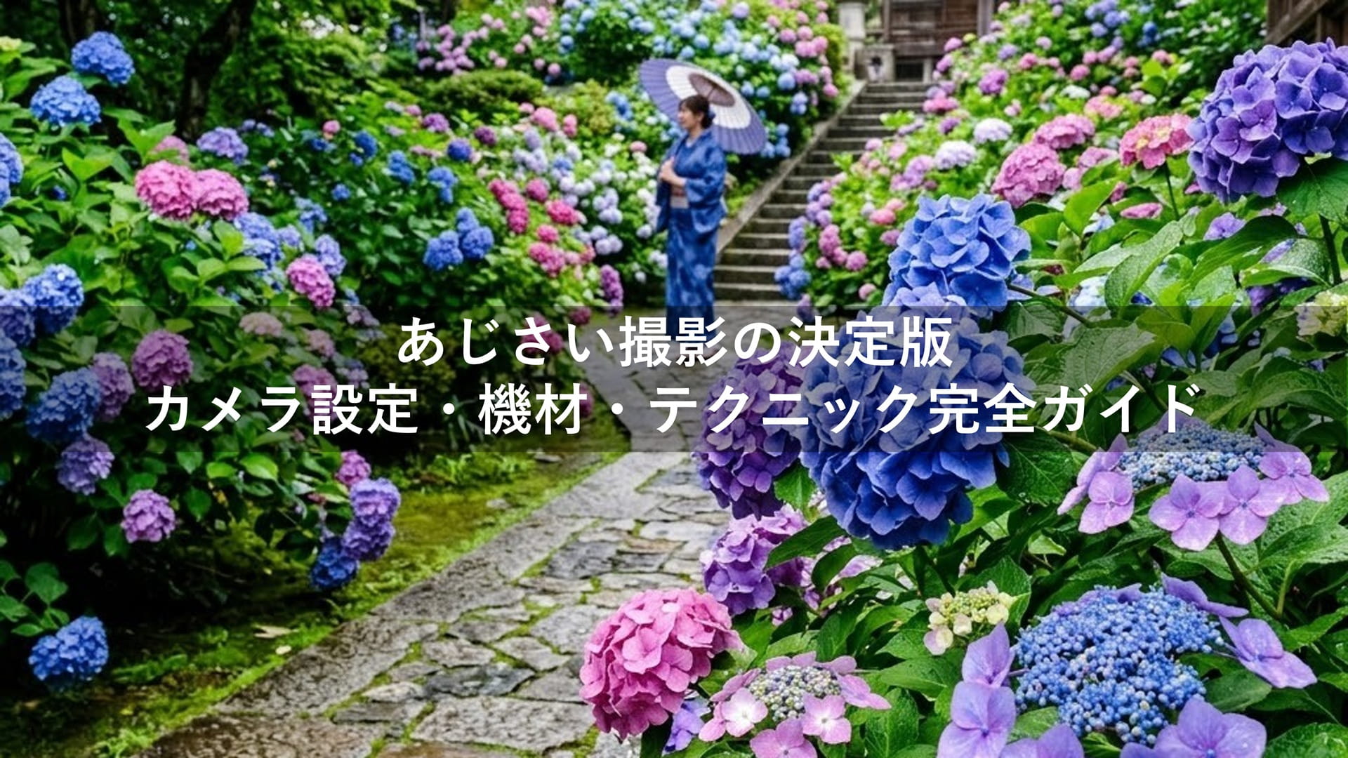 あじさい撮影の決定版｜カメラ設定・機材・テクニック完全ガイド