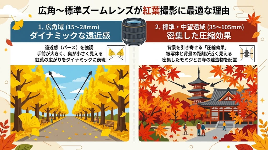 広角〜標準ズームレンズが紅葉撮影に最適な理由の解説イラスト