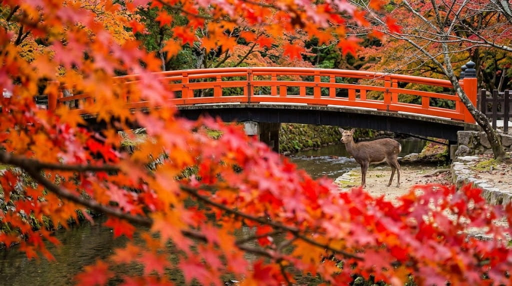 宮島 紅葉谷公園の紅葉橋と鹿