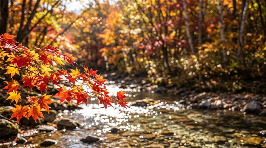 小川のほとりで輝く紅葉と水面の玉ボケ