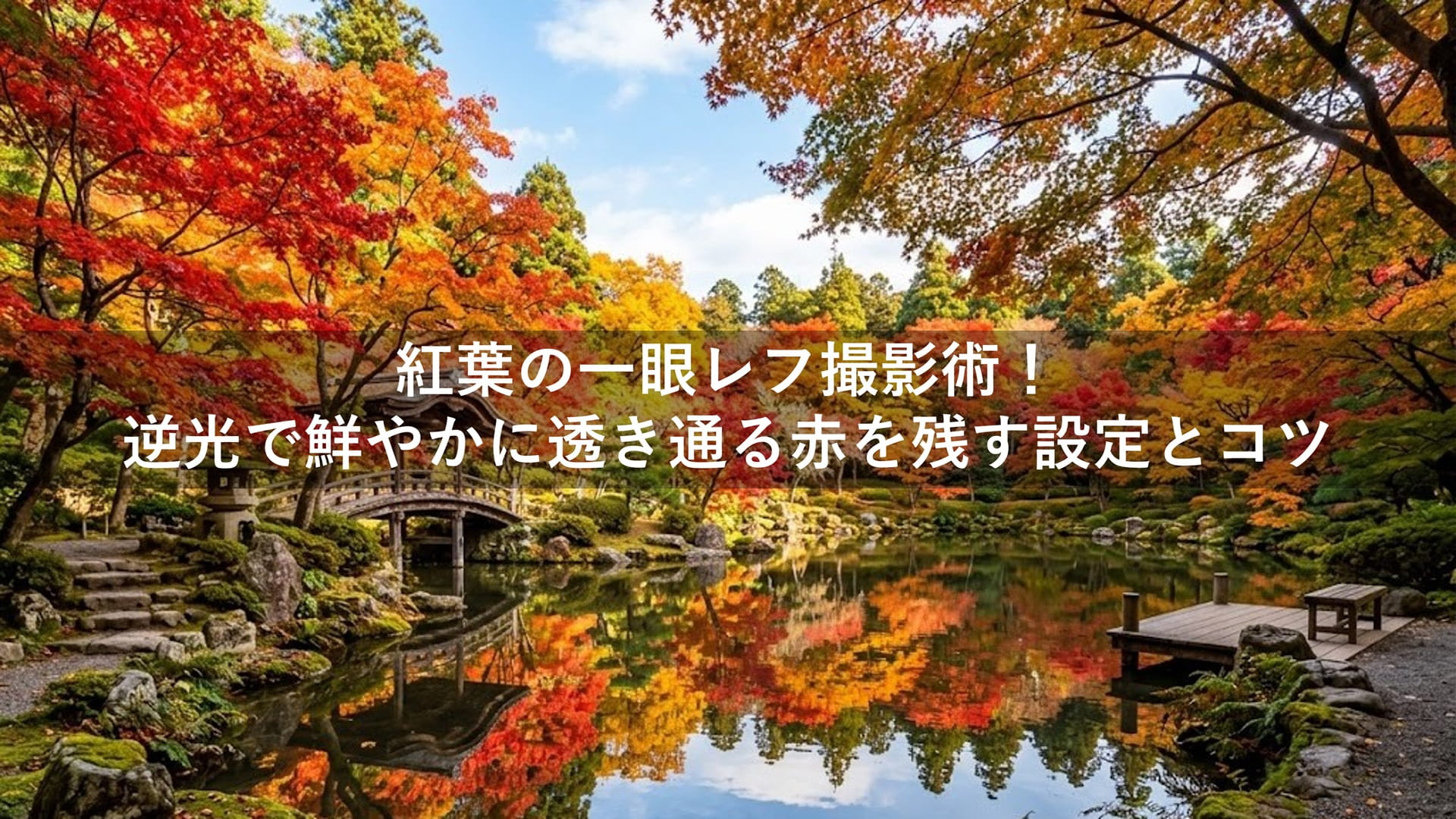 紅葉の一眼レフ撮影術！逆光で鮮やかに透き通る赤を残す設定とコツ