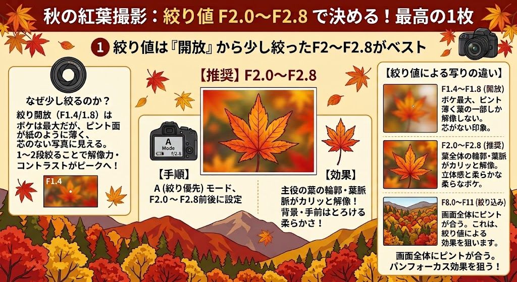 絞り値の選び方を解説したイラスト