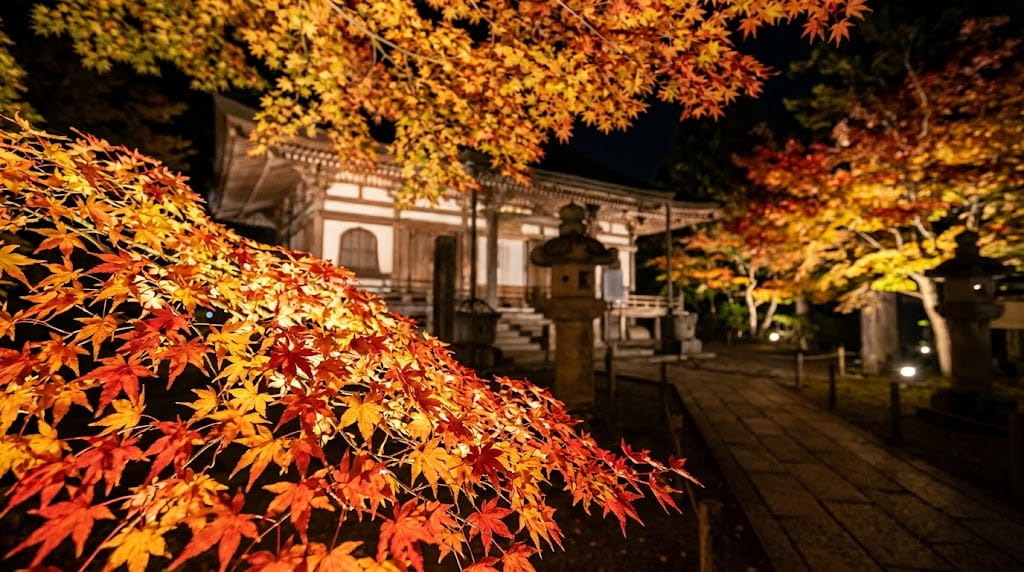 ライトアップされた紅葉が美しい寺社境内