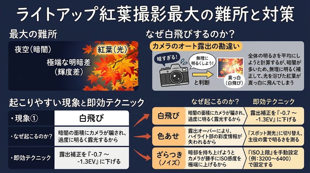 明暗差による白飛びと黒つぶれの解説イラスト