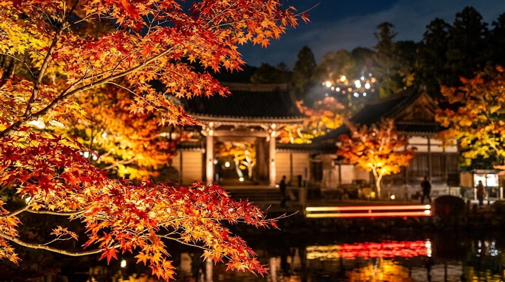 紅葉ライトアップ撮影の難易度