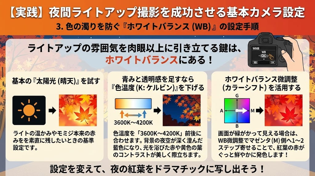 ホワイトバランス調整の解説イラスト