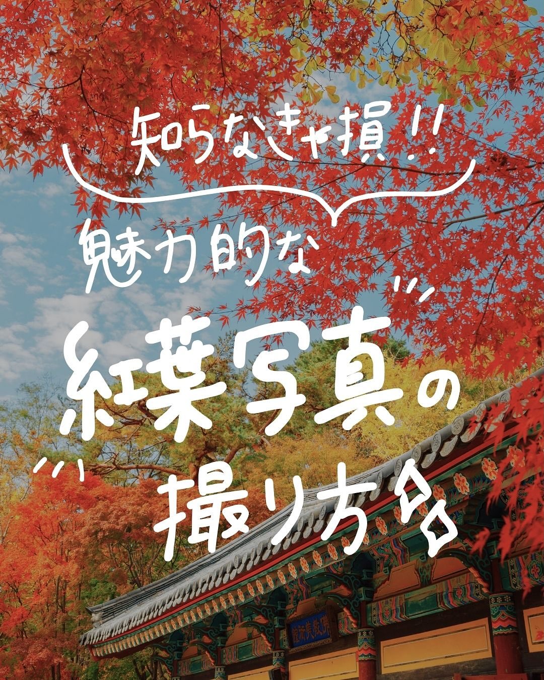 @camera_rent_official 👈 明日から使える！カメラがもっと楽し…
