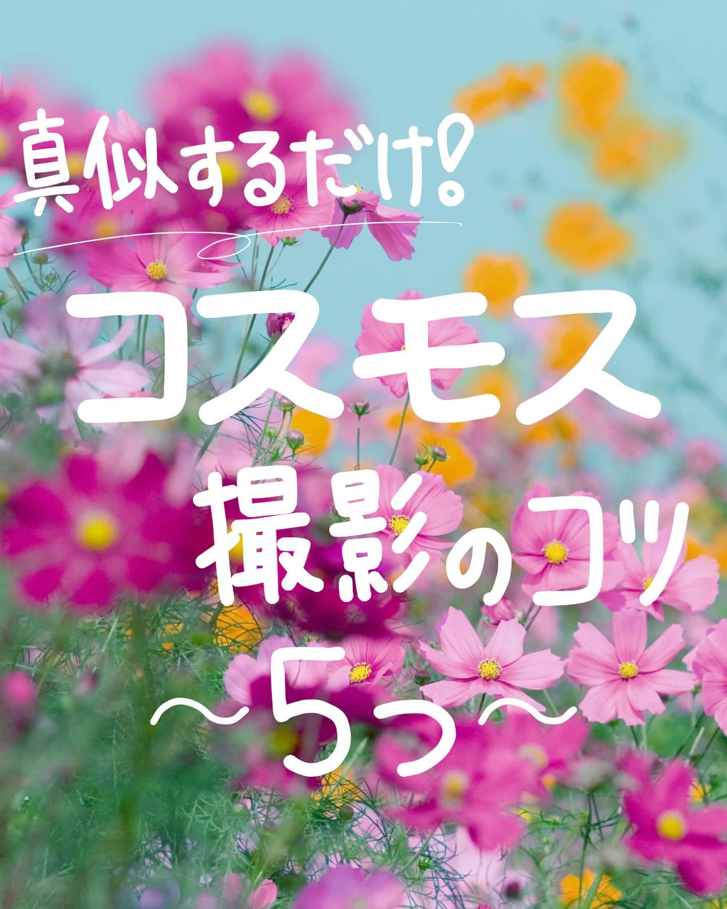 @camera_rent_official 👈 明日から使える！カメラがもっと楽し…