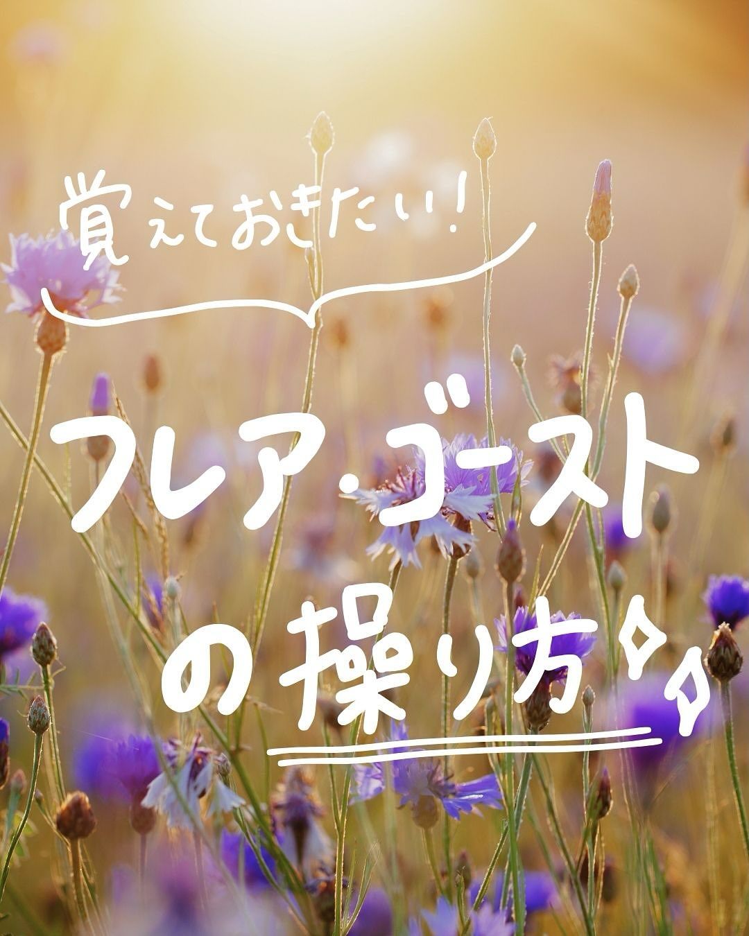 @camera_rent_official 👈 明日から使える！カメラがもっと楽し…