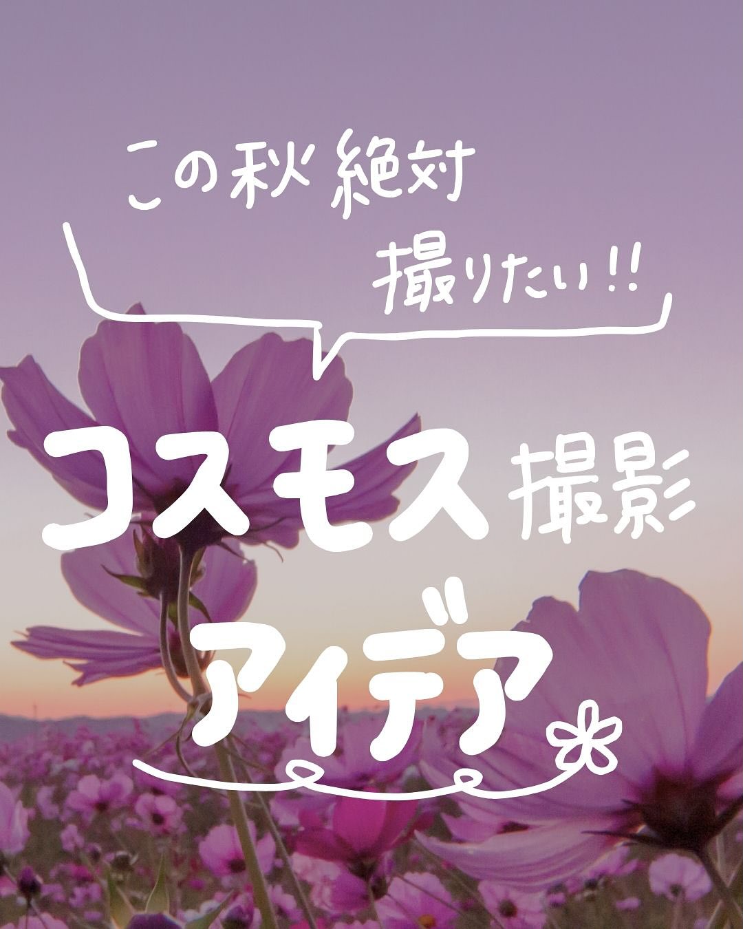 @camera_rent_official 👈 明日から使える！カメラがもっと楽し…