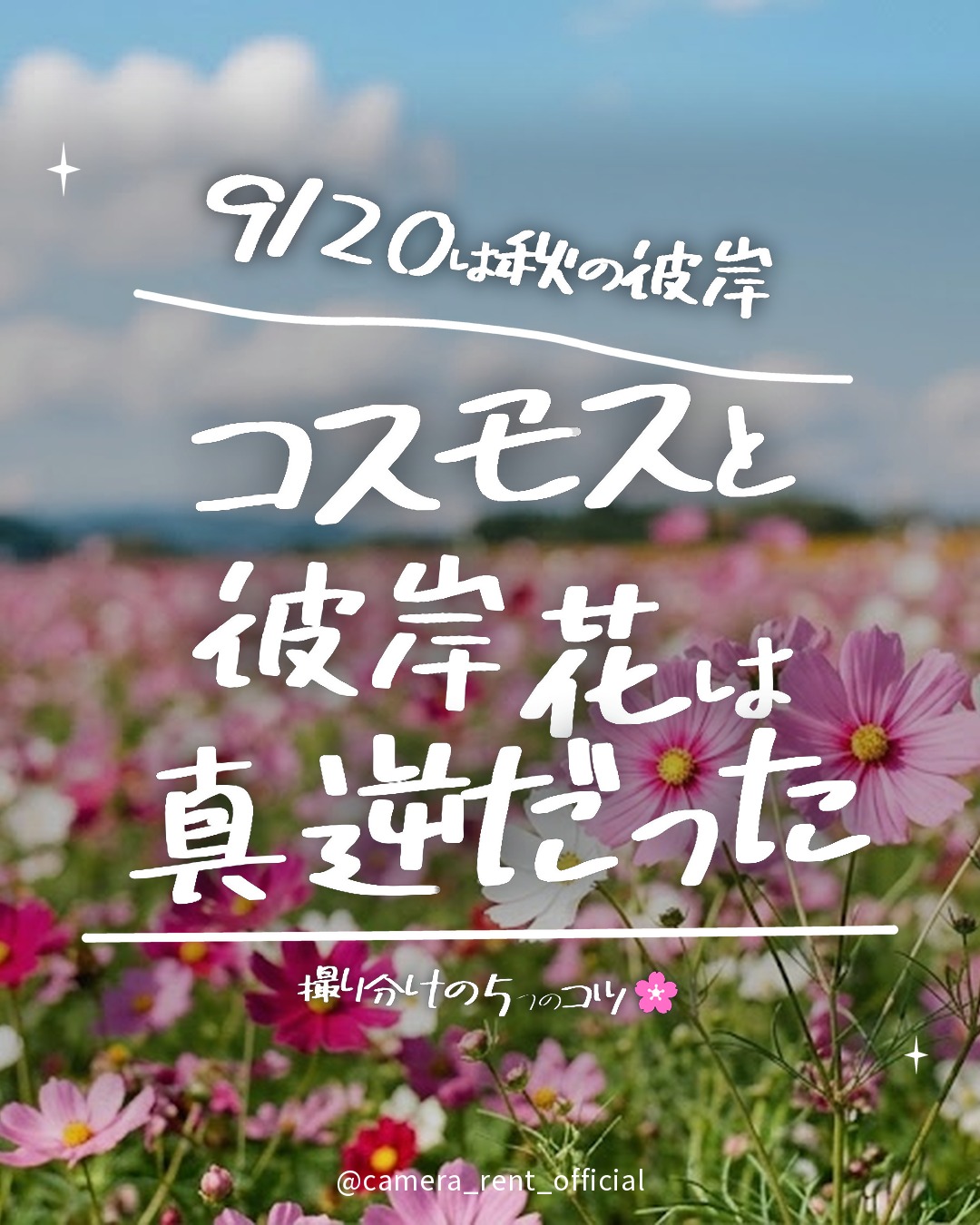 @camera_rent_official 👈 明日から使える！カメラがもっと楽し…