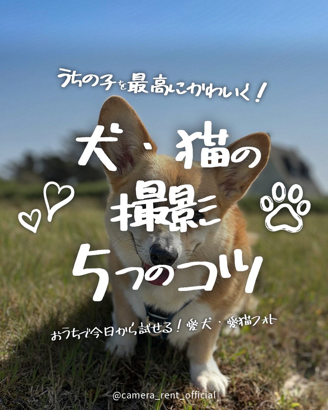 @camera_rent_official 👈 明日から使える！カメラがもっと楽し…