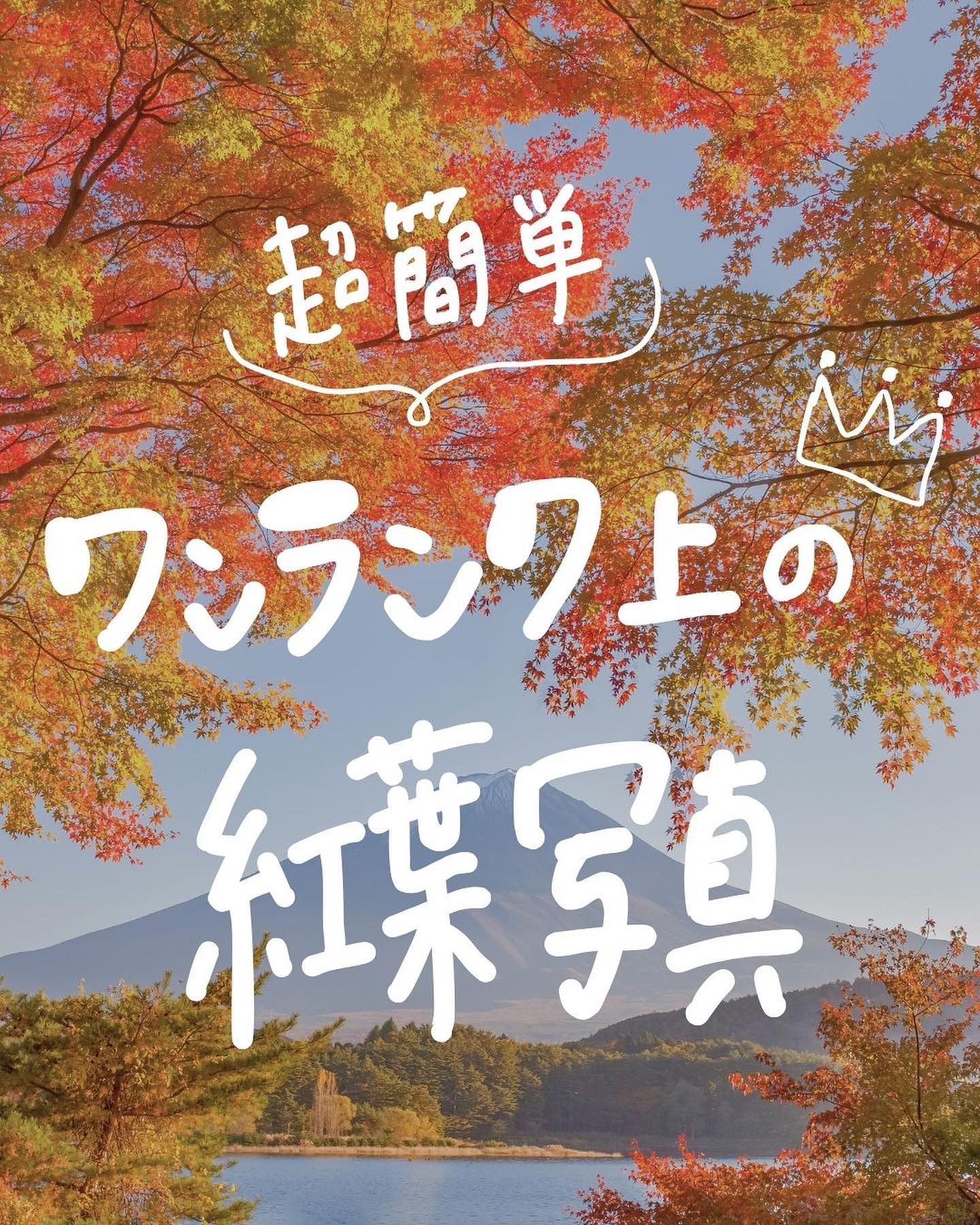 @camera_rent_official 👈 明日から使える！カメラがもっと楽し…